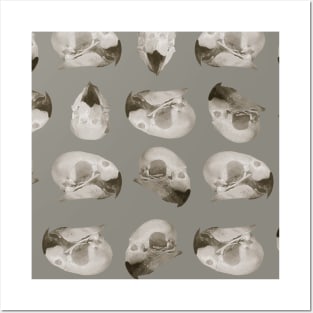 Parrot Skull Pattern Posters and Art